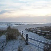 Ellen D'Amore's photo