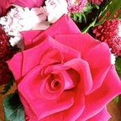 Donna Prohaska Sugg's photo