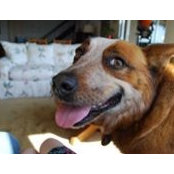 Lisa Mikulsky's photo
