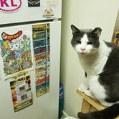 Scotty McGinty's photo
