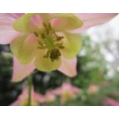 Judy Ede's photo