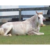Lorie Baynham-Brewster's photo