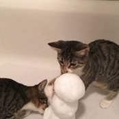 Barb Larsen's photo