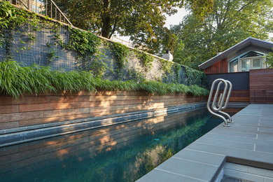 Photo of a modern landscaping in DC Metro.