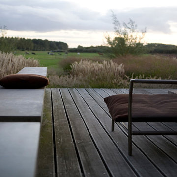 Grasses and a view