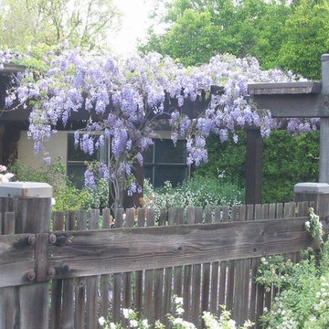 Arbors & Trellis'