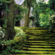 Exterior Ideas