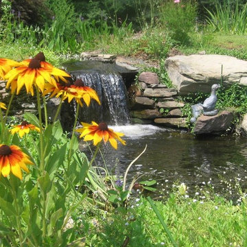Backyard Spaces