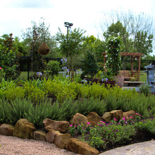 Backyard Landscape