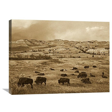 "American Bison Grazing, Theodore Roosevelt Np, North Dakota - Sepia" Artwork