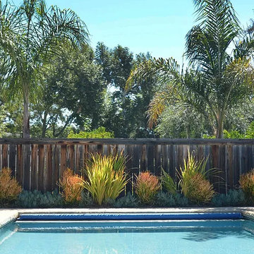 Drought Tolerant Charmer