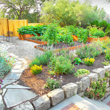 Veggie Garden