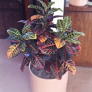 Artificial Trees