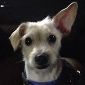 Matt Meyer's photo