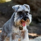 Jason Bayly's photo