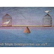 Kemal Aydin's photo