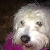 Karen Bizon's photo