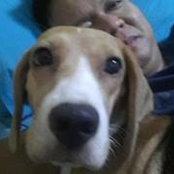 Rico Morales's photo