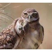 Claylene Fitz's photo