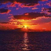 Marie Fein's photo
