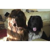Tony Lund's photo
