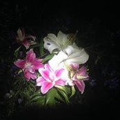 Willow Unruh's photo