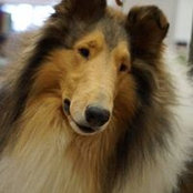 Richella Veatch's photo