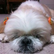 Ryoko Dovgan's photo