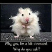 Shannan Roark's photo