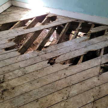 Termite Damage Is at it Again