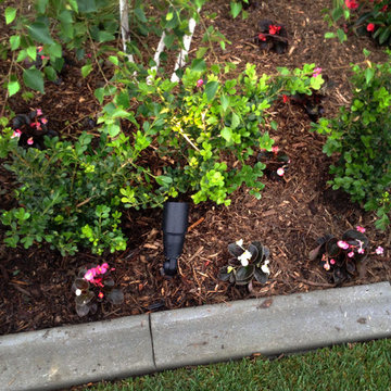Low Voltage Landscape Lighting