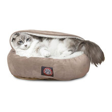 Cat Stuff
