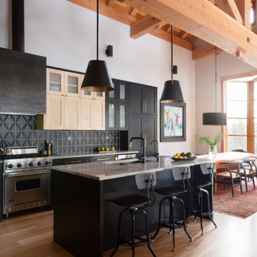 Fernie Modern Timberframe