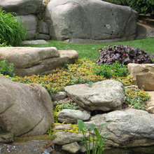 water garden