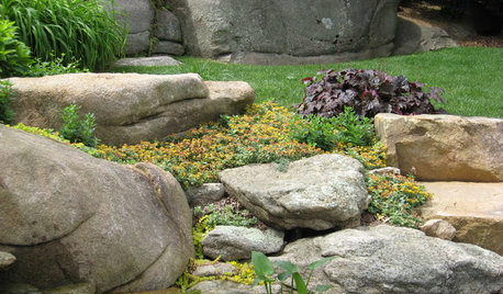 Perché i Giardini Rocciosi Sono una Tendenza del 2021