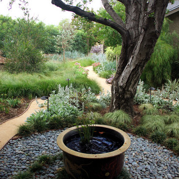 Mystical Habitat Garden