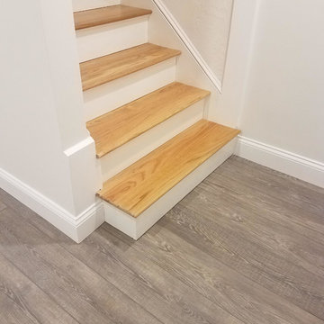 Basement, Bedroom, and Entertainment Room