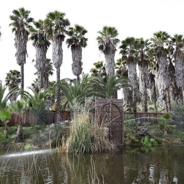 Indian Springs Resort