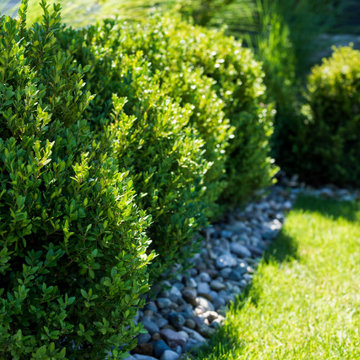 Lake Columbia Modern Lakefront Landscape