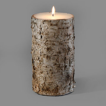 Serene Spaces Living Medium Birch Bark Candle, Sold Individually, 4"x8"