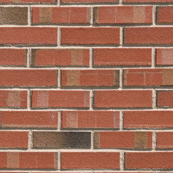 Triangle Brick's Wadesboro Blend Common - Bricks And Masonry