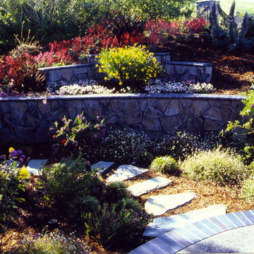 Low Water Use Gardens