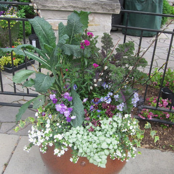 Annual Displays