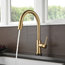 Delta Trinsic Pull-Down Kitchen Faucet with Touch2O Technology, Champagne Bronze
