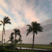 Margo V's photo