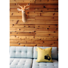 amesinteriors