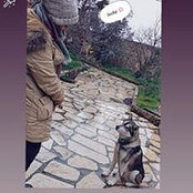 Foto von Rund Kmail