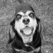 Zachary Cooper's photo