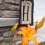 Lisa H's photo