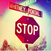Whitney Wolffs billede